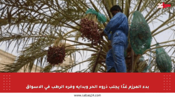 بدء المرزم غدًا يجلب ذروة الحر وبداية وفرة الرطب في الأسواق